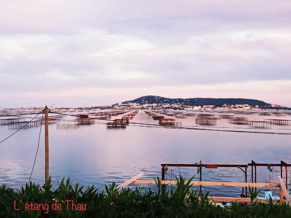 Bon Cap Corniche 3 Etoiles Avec Terrasse Clim Vue Mer Parking แซ็ต ภายนอก รูปภาพ